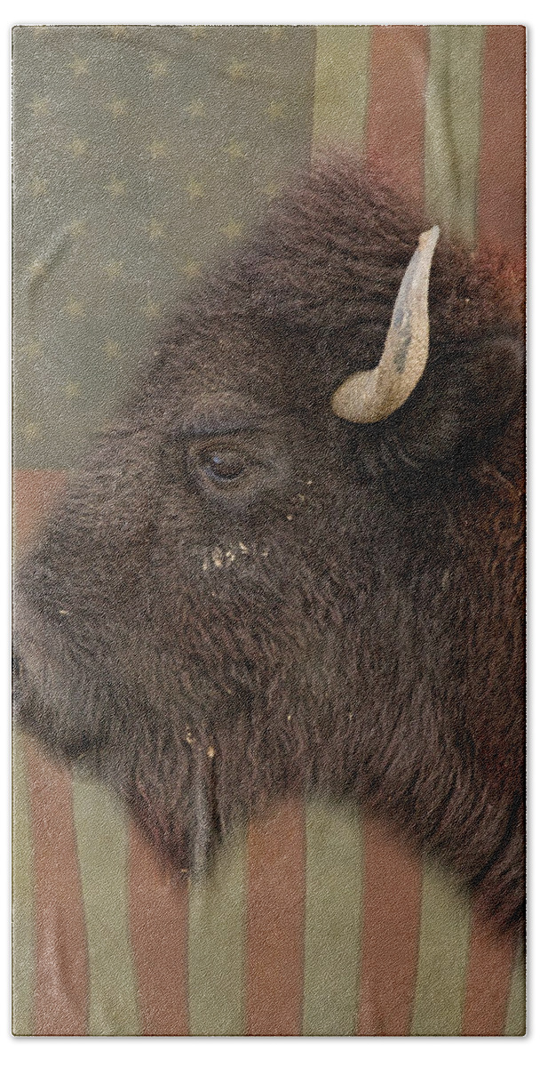 Bison Beach Towel featuring the photograph American Bison Headshot Profile by James BO Insogna