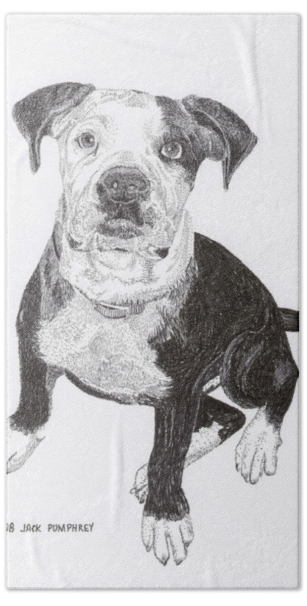 Bull Dog Puppies Beach Towel featuring the drawing American Bull Dog as a PUP by Jack Pumphrey