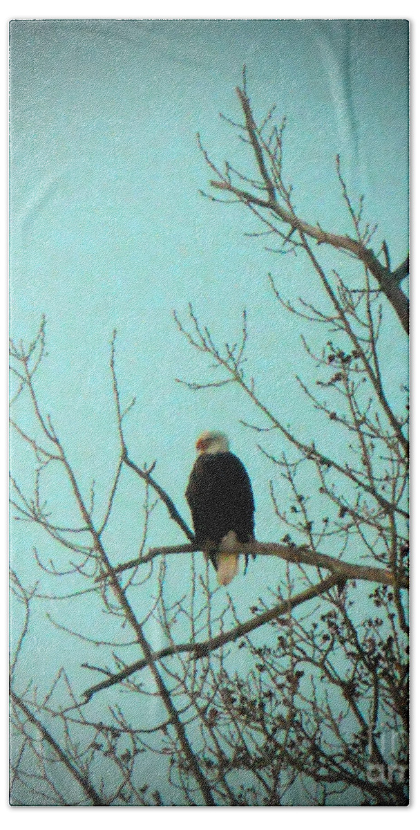 American Bald Eagle Beach Towel featuring the photograph American Eagle by Desiree Paquette