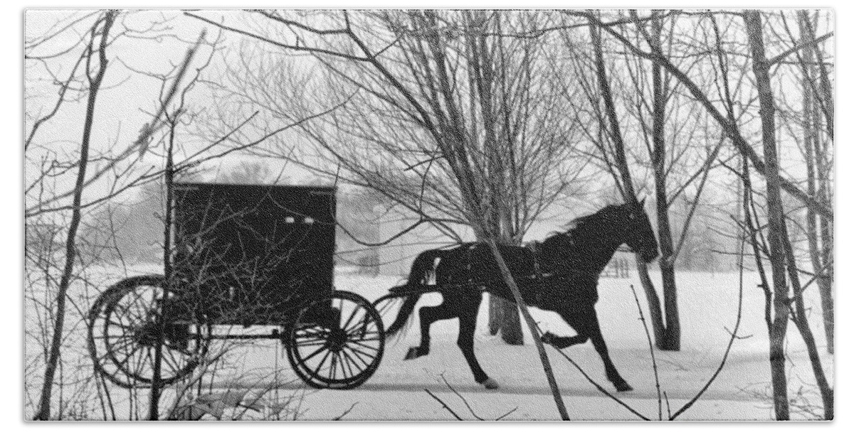 Amish Beach Towel featuring the photograph Amish Buggy Revised by David Arment