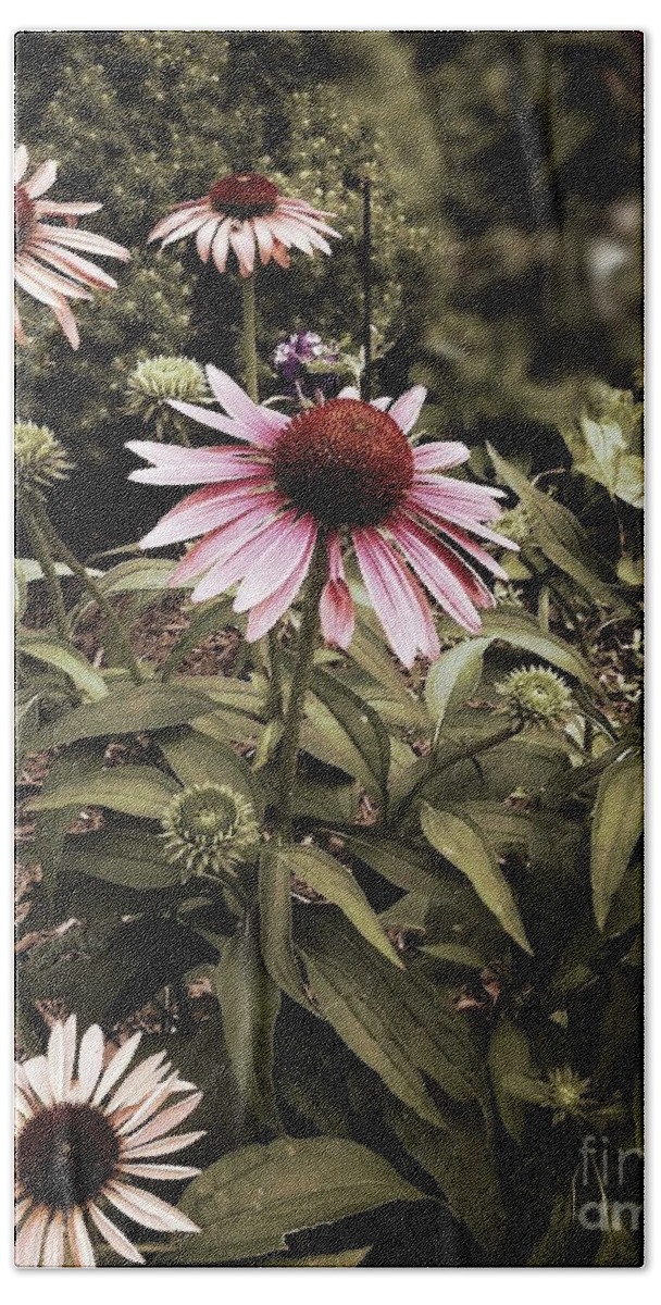 Cone Flowers Beach Sheet featuring the photograph Among Friends by Frank J Casella