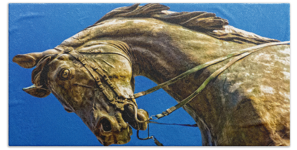 Horse Beach Towel featuring the photograph Andrew Jackson's Horse by Christopher Holmes