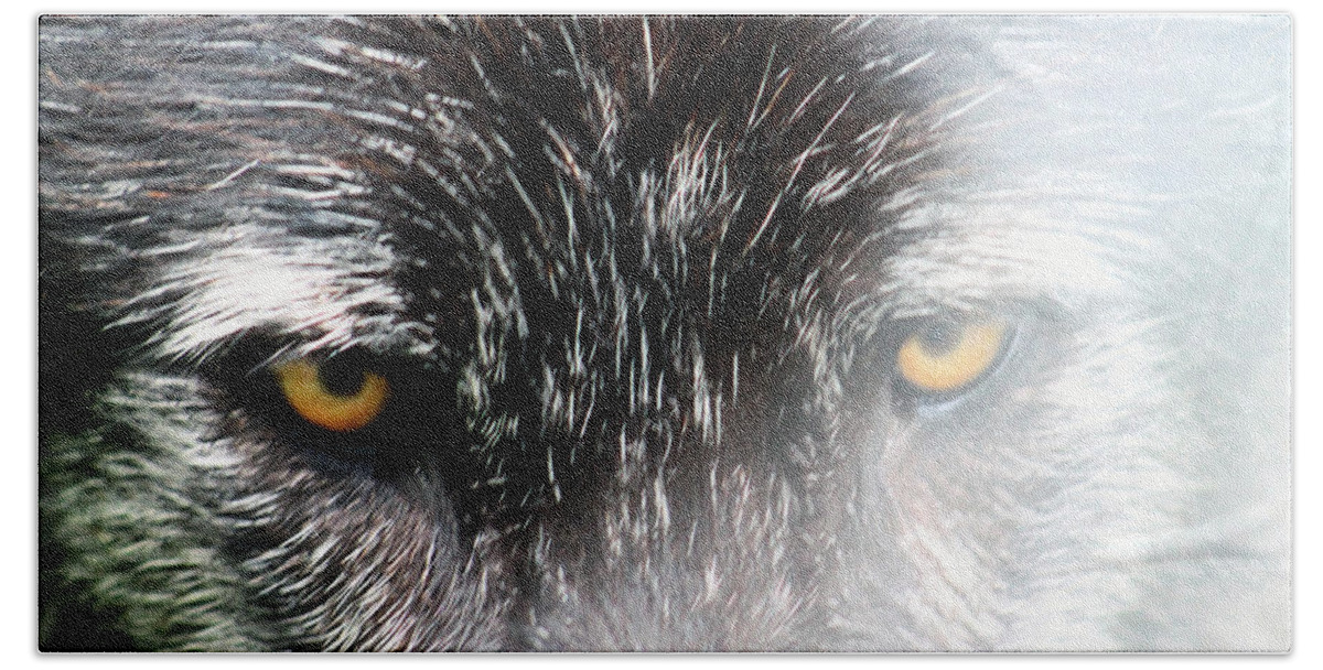 Wolf Beach Towel featuring the photograph Angry fog by Lily K