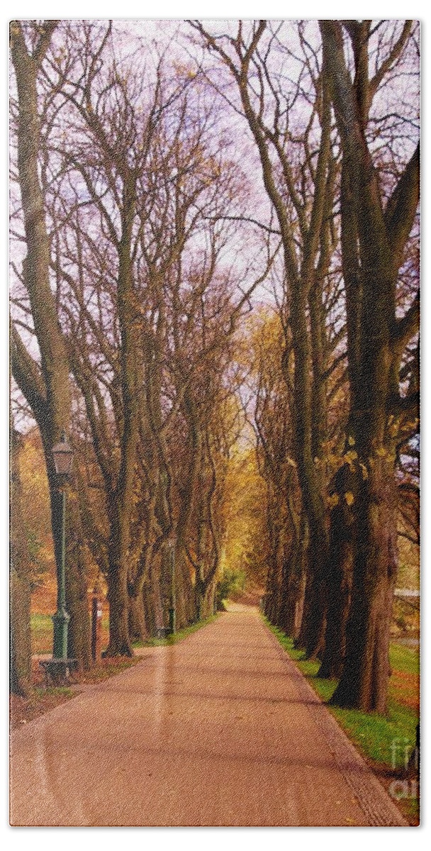 Lime Trees Beach Towel featuring the photograph Another view of The Avenue of Limes by Joan-Violet Stretch
