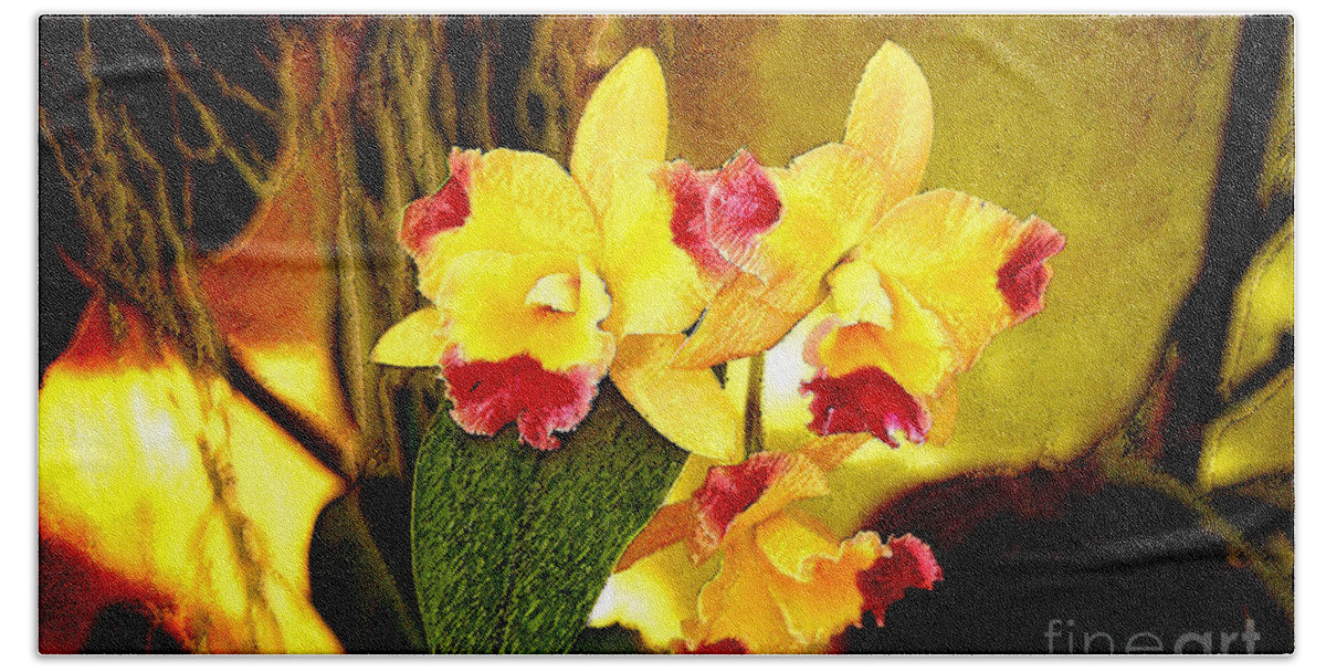 Orchid Beach Sheet featuring the photograph AOS Yellow Orchid 1 by Janis Lee Colon