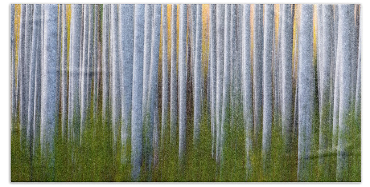 Aspen Beach Towel featuring the photograph Artistic Aspens 2 by Larry Marshall