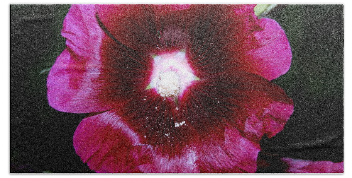 Purple Beach Sheet featuring the photograph Assorted Flower 004 by Larry Ward