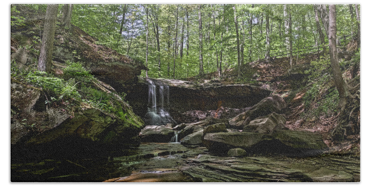 Blue Hen Falls Beach Towel featuring the photograph At Blue Hen Falls by Dale Kincaid