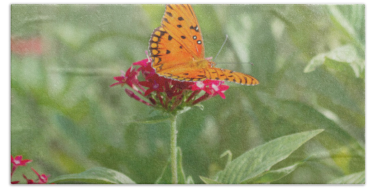 Butterfly Beach Towel featuring the photograph At Rest - Gulf Fritillary Butterfly by Kim Hojnacki