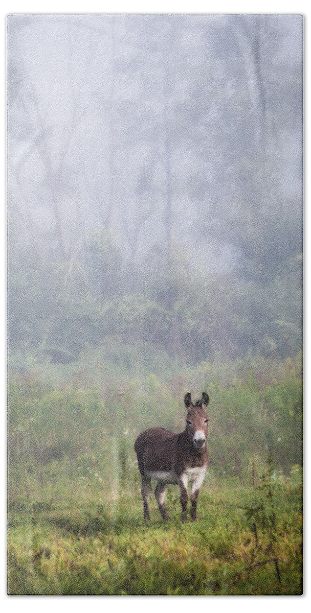 Animals Beach Sheet featuring the photograph August morning - Donkey in the field. by Gary Heller