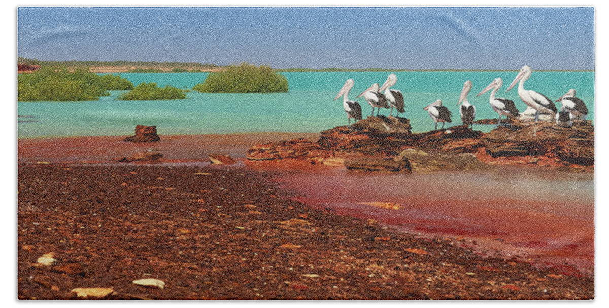 Martin Willis Beach Towel featuring the photograph Australian Pelicans Roebuck Bay by Martin Willis