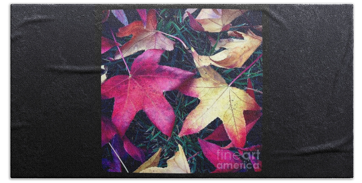 Leaves Beach Towel featuring the photograph Autumn by Denise Railey