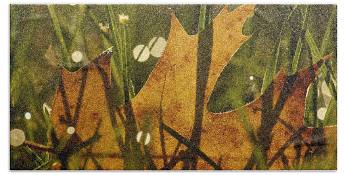 Autumn Beach Sheet featuring the photograph Autumn Dew by Penny Meyers