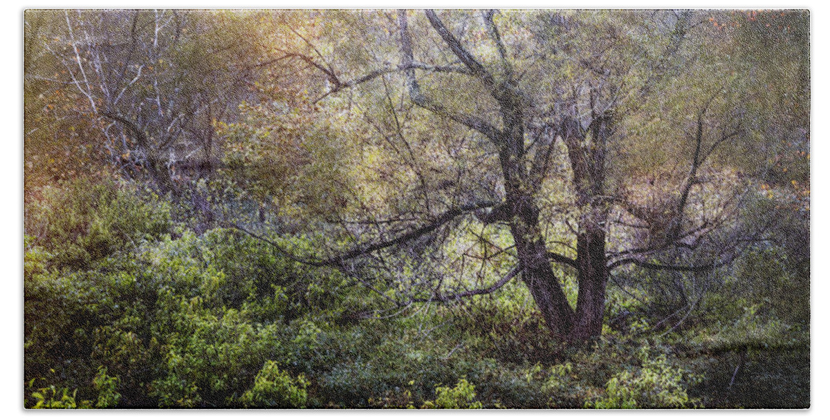 Apalachia Beach Towel featuring the photograph Autumn Enchantment by Debra and Dave Vanderlaan
