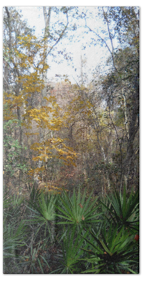 Trees Beach Towel featuring the photograph Autumn Forest by Judy Hall-Folde