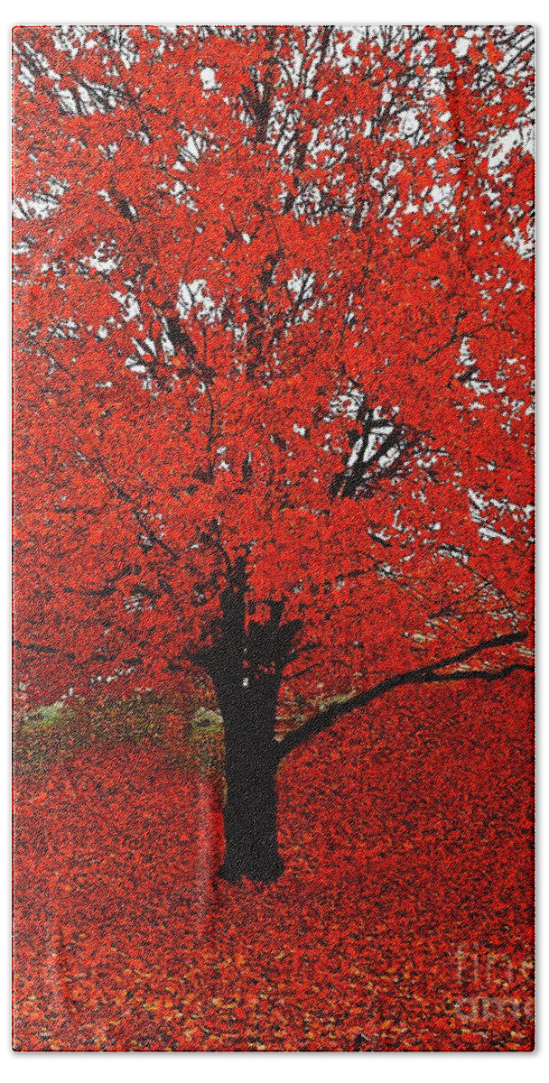 Autumn Beach Towel featuring the photograph Red Tree Impressions #1 Red by Saundra Myles