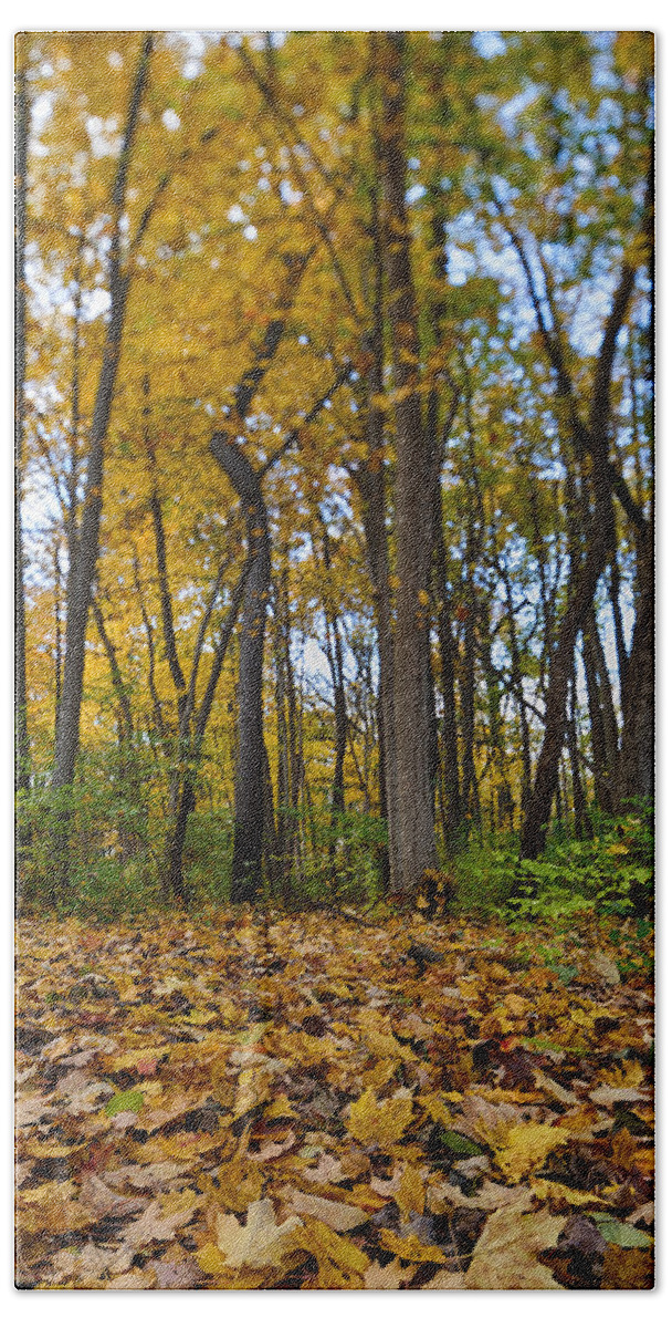 Fall Beach Sheet featuring the photograph Autumn is Here by Sebastian Musial