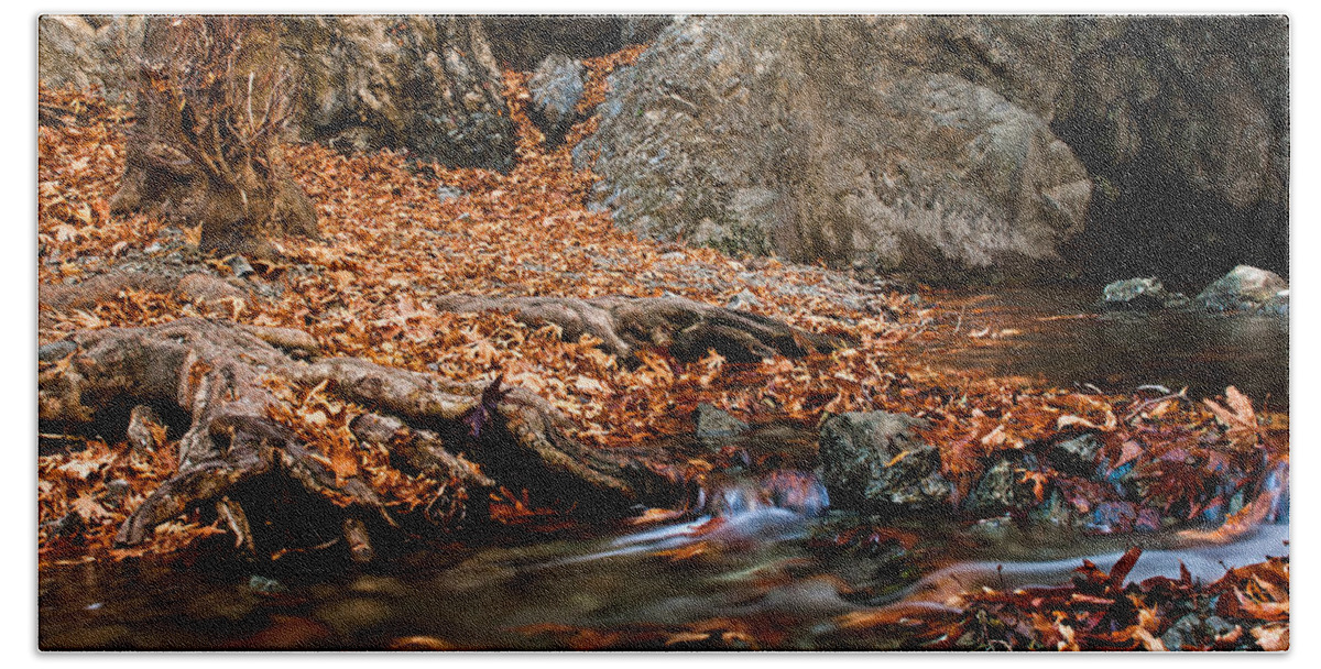 Autumn Beach Towel featuring the photograph Autumn landscape by Michalakis Ppalis