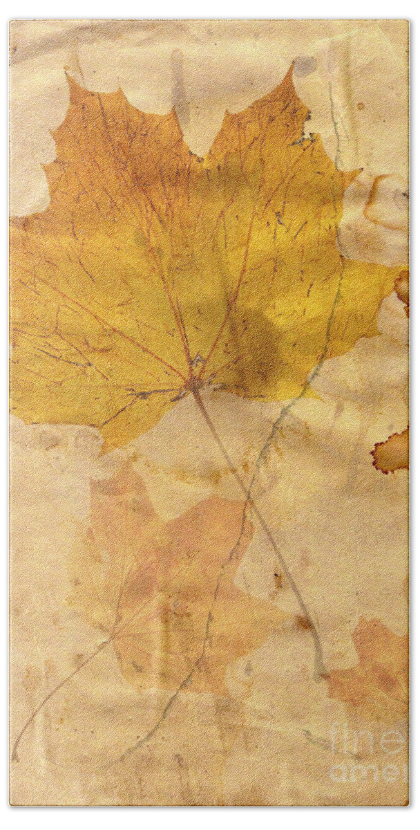 Detail Beach Towel featuring the digital art Autumn Leaf In Grunge Style by Michal Boubin