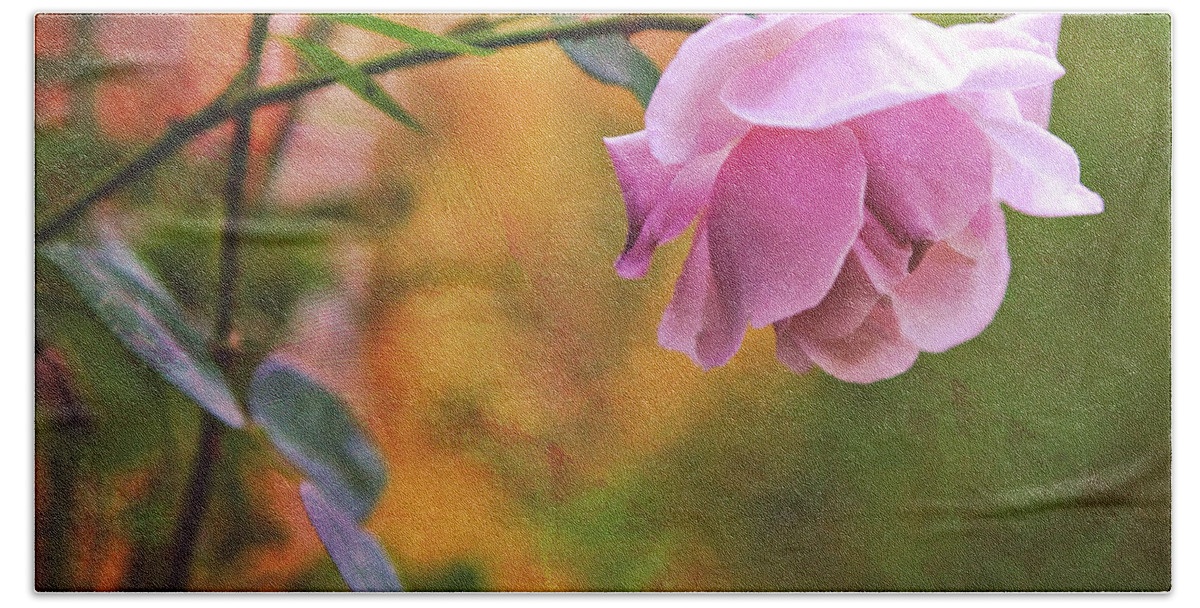 Rose Beach Towel featuring the photograph Autumn Rose by Theresa Tahara