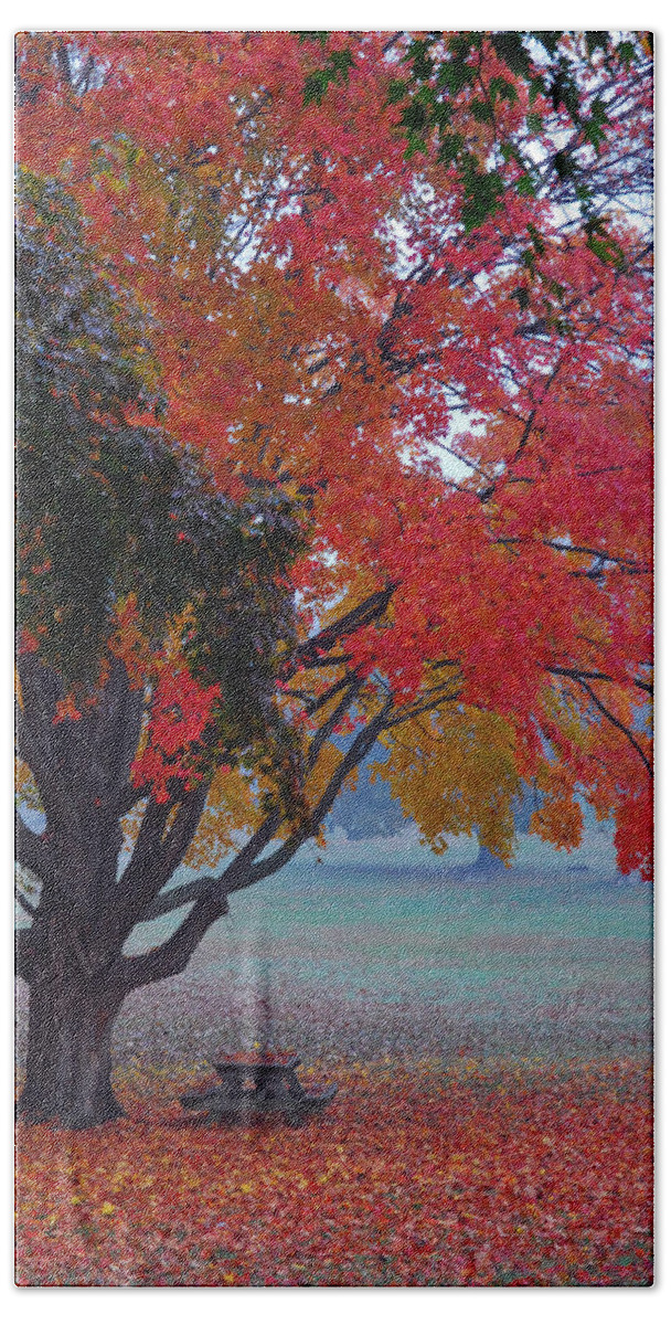 Autumn Splendor Beach Towel featuring the photograph Autumn Splendor by Lisa Phillips