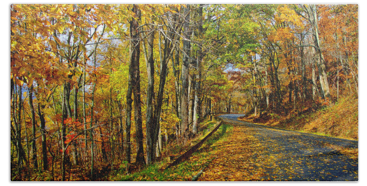 Fall Beach Towel featuring the photograph Autumn Winding Road by Kevin Cable