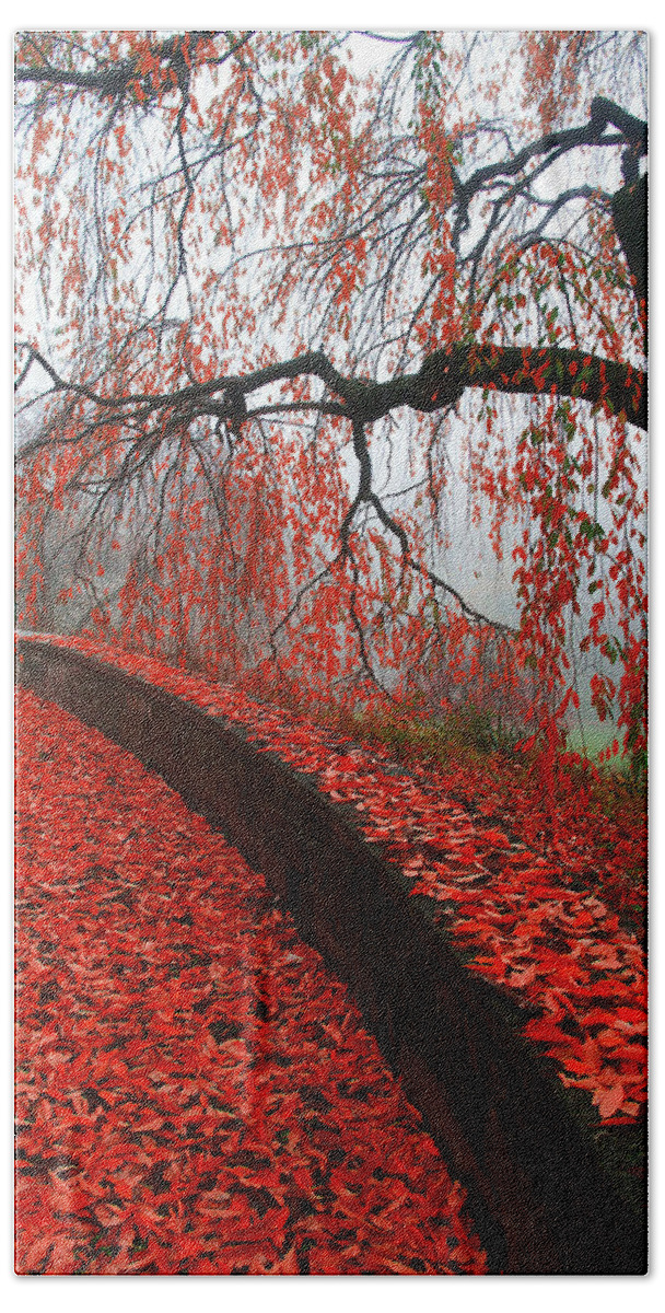 Tree Beach Towel featuring the digital art Autumnal Red by Bruce Rolff