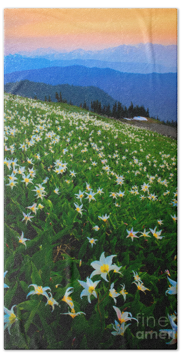 America Beach Towel featuring the photograph Avalanche Lily Field by Inge Johnsson