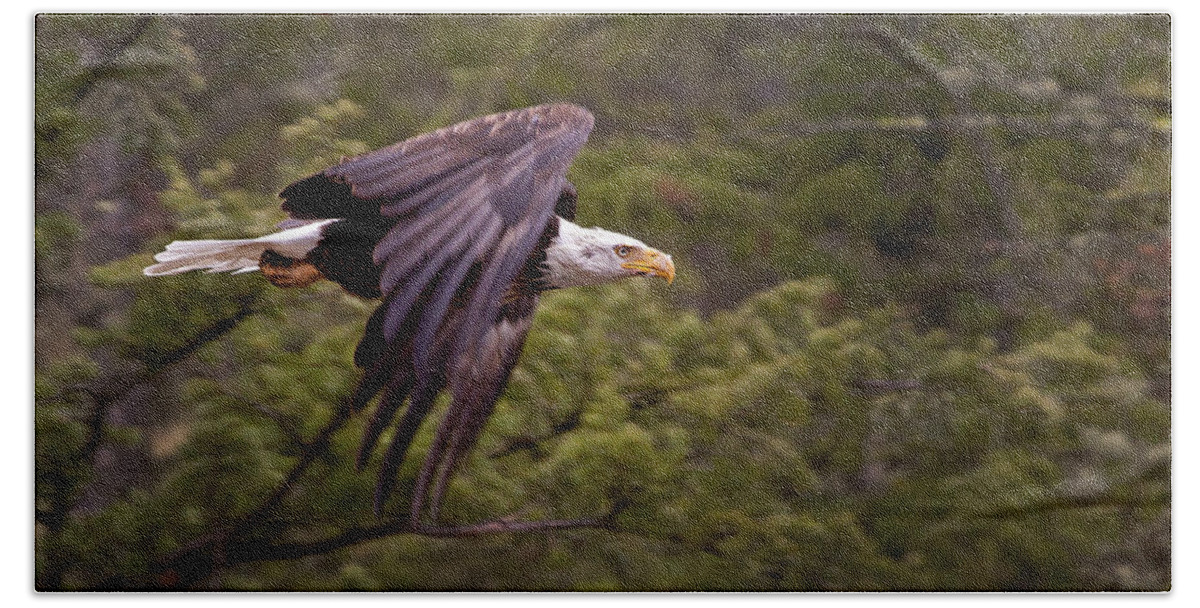 Haliaeetus Leucocphalus Beach Towel featuring the photograph Bald Eagle  #6865 by J L Woody Wooden
