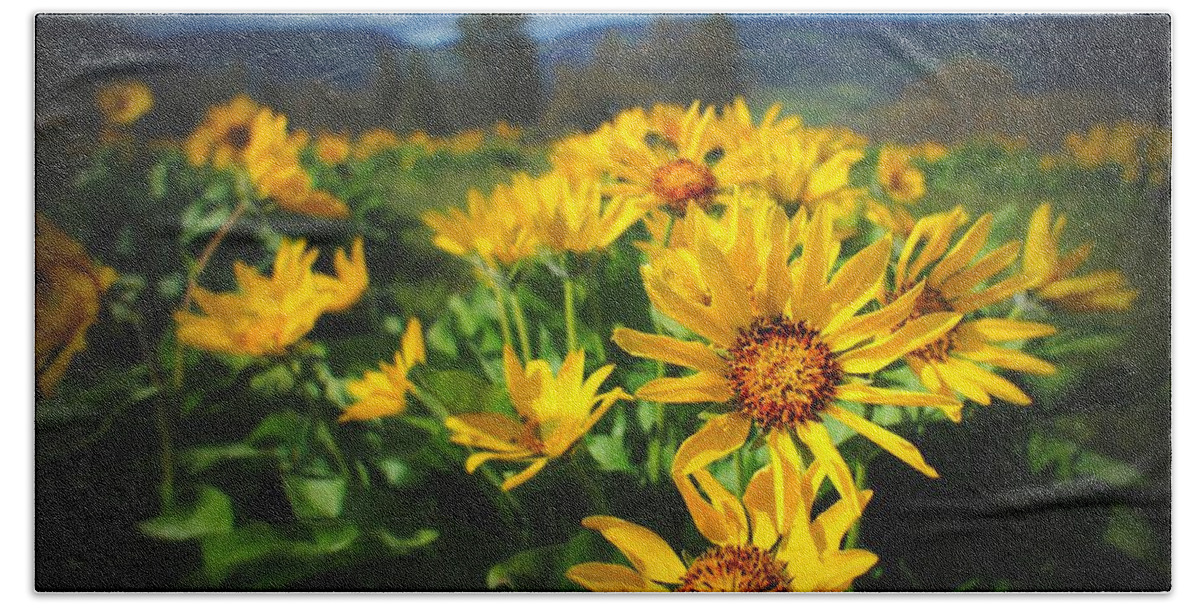 Balsamroot Beach Towel featuring the photograph Balsamroot of The Gorge by TK Goforth