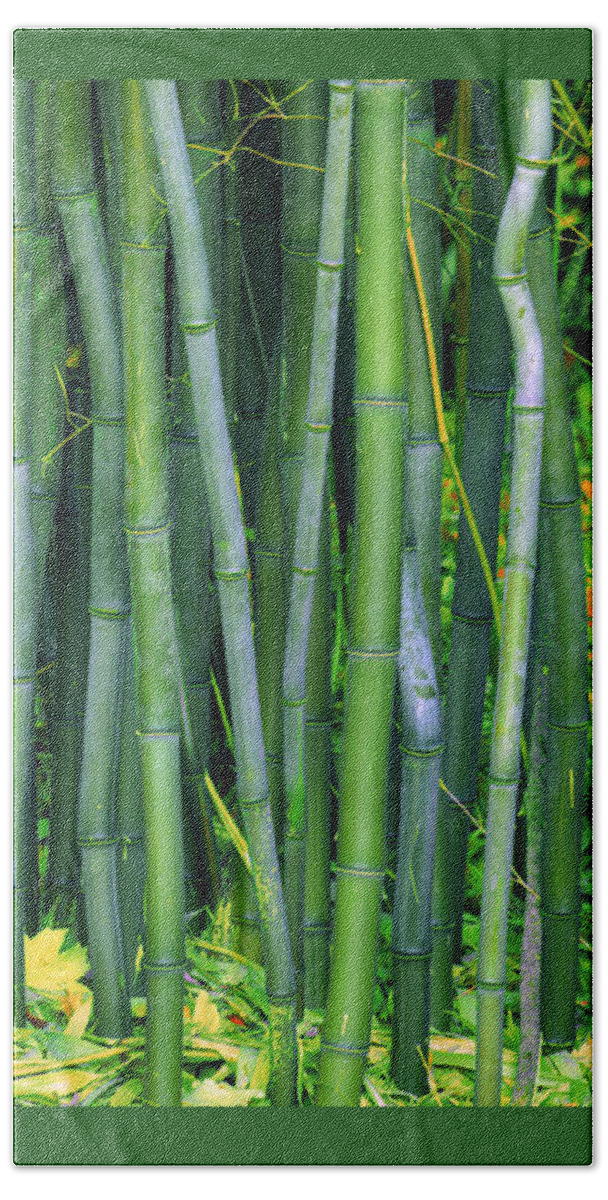 Landscape Beach Towel featuring the photograph Bamboo Greens by Marco Crupi