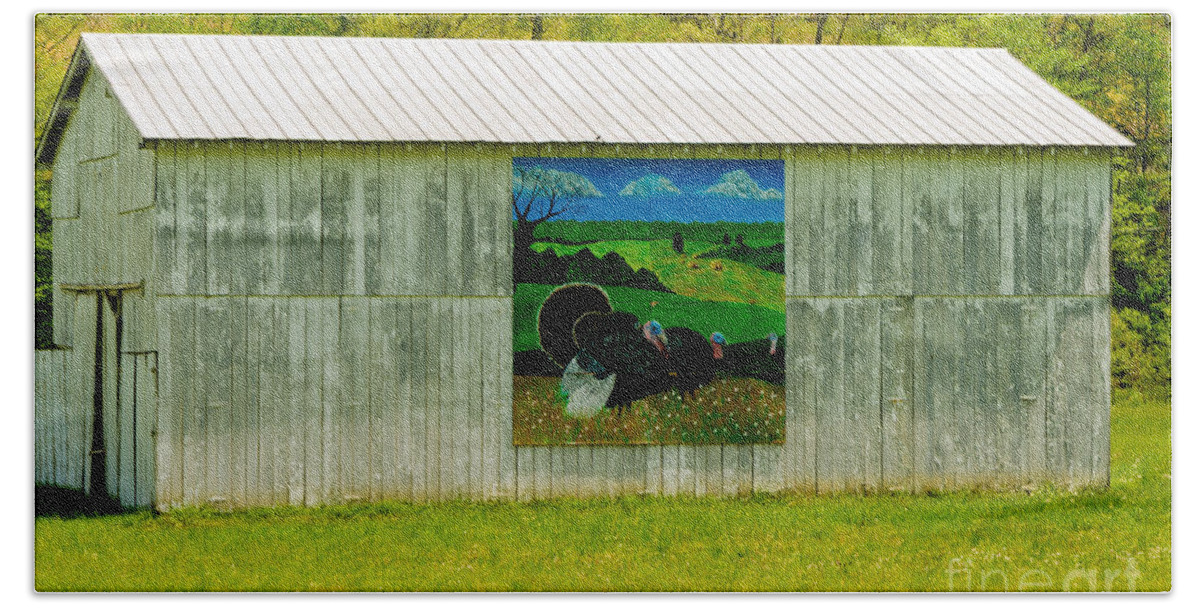 Architecture Beach Towel featuring the photograph Barn - Wild Turkey Mural by Mary Carol Story