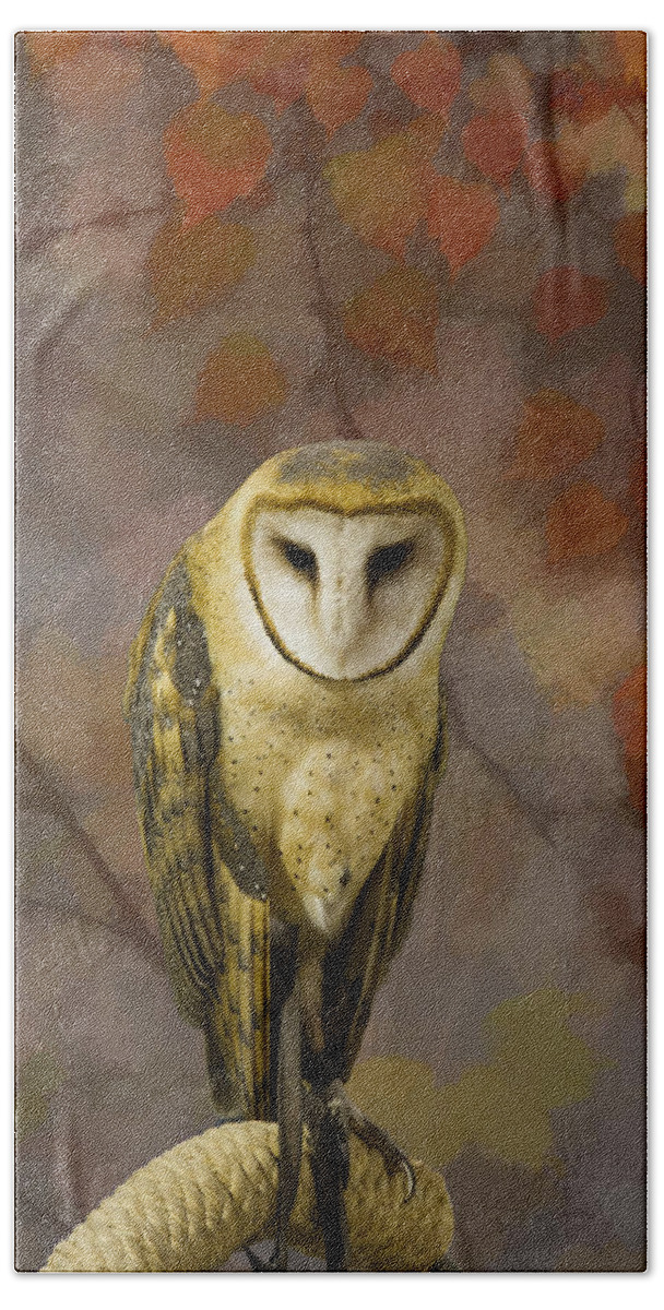 Alba Beach Towel featuring the photograph Barn Owl by Jack R Perry
