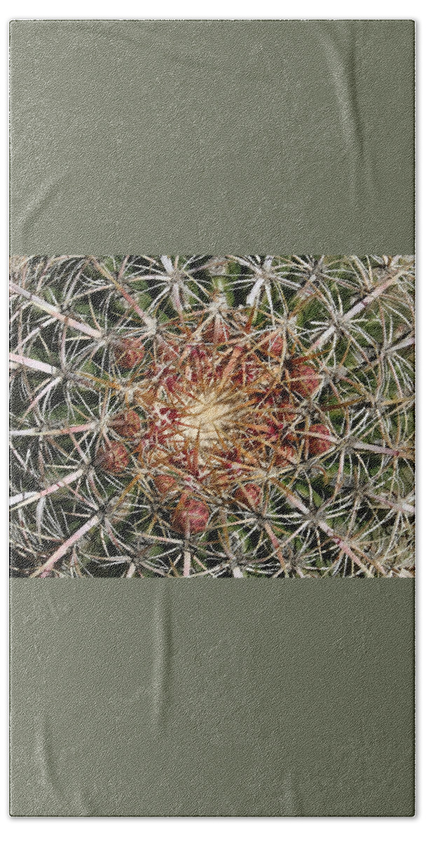 Barrel Cactus Beach Sheet featuring the photograph Barrel Cactus by Ellen Henneke