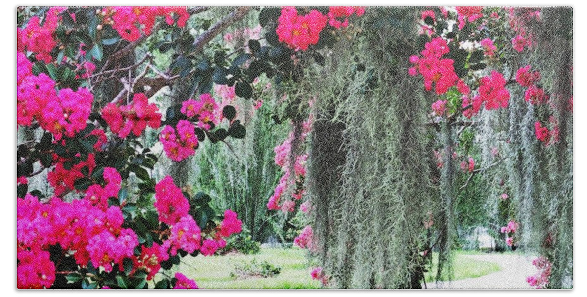 Flowers Beach Towel featuring the photograph Baton Rouge Louisiana Crepe Myrtle and Moss at Capitol Park by Lizi Beard-Ward