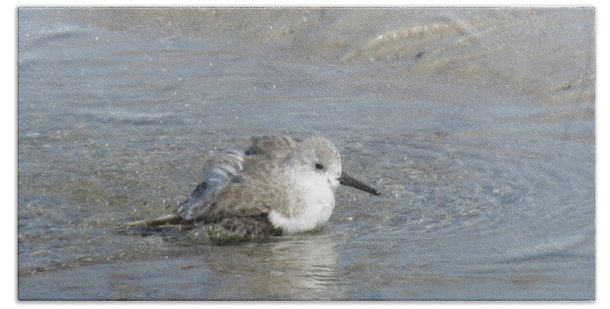 Landscape Beach Towel featuring the photograph Beach Bird Bath 5 by Ellen Meakin