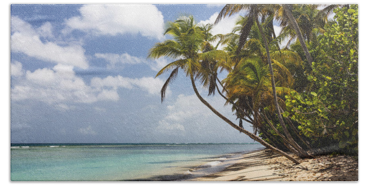 Konrad Wothe Beach Towel featuring the photograph Beach Pigeon Point Tobago West Indies by Konrad Wothe