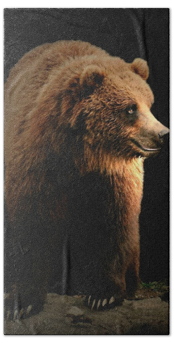 Animal Beach Towel featuring the photograph Bear Essentials by Diana Angstadt