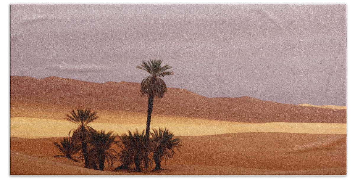 Desert Beach Towel featuring the photograph Beautiful desert by Ivan Slosar