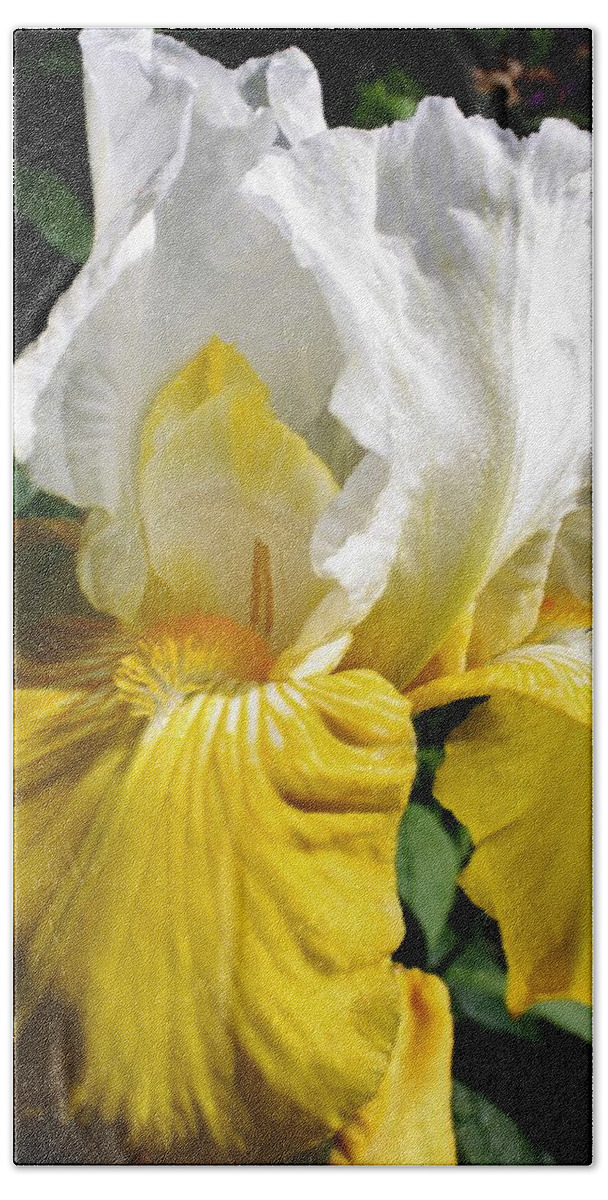Flora Beach Towel featuring the photograph Beauty for the Eye by Bruce Bley