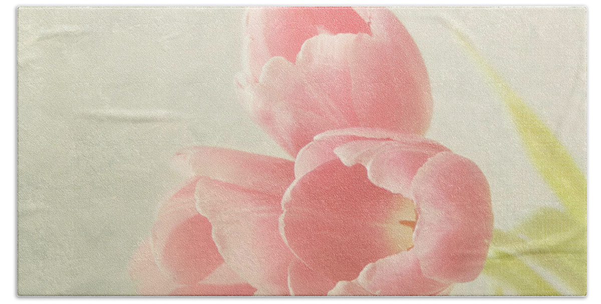 Pink Flower Beach Towel featuring the photograph Beauty in Three by Kim Hojnacki