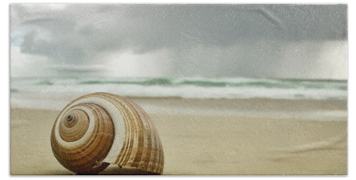 Shell Beach Towel featuring the photograph Before the Storm by Linda D Lester