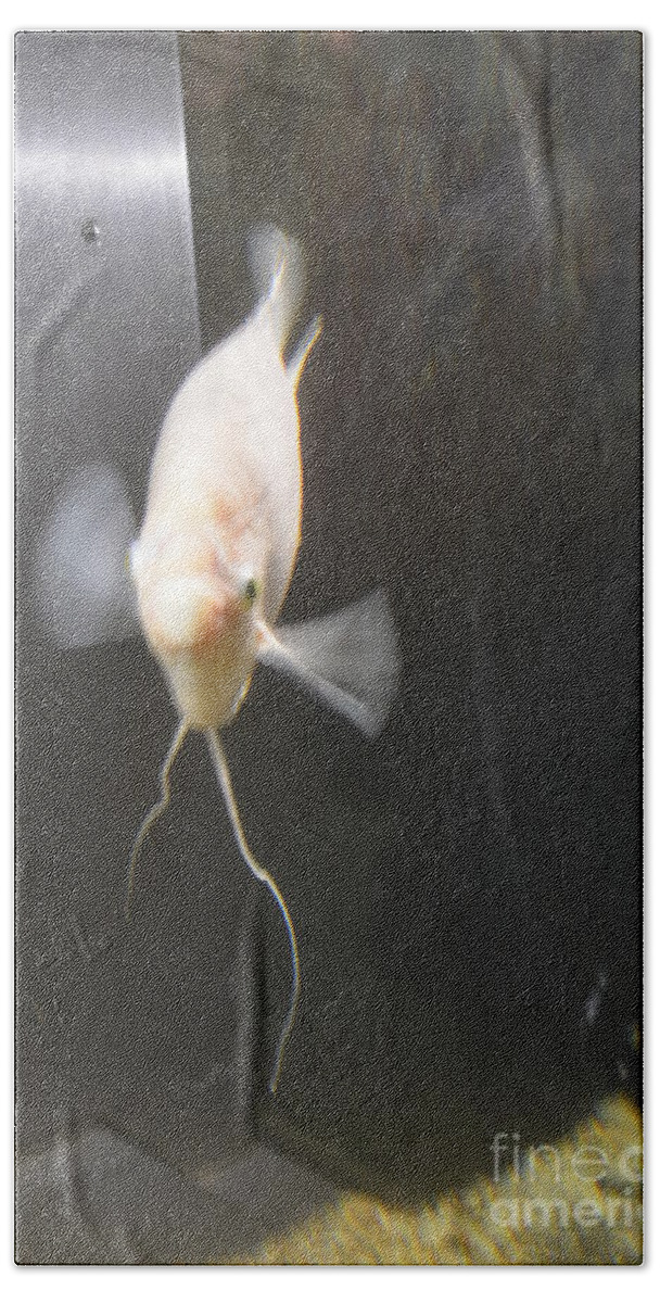 Detroit Beach Towel featuring the photograph Belle Isle aquarium fish by Randy J Heath