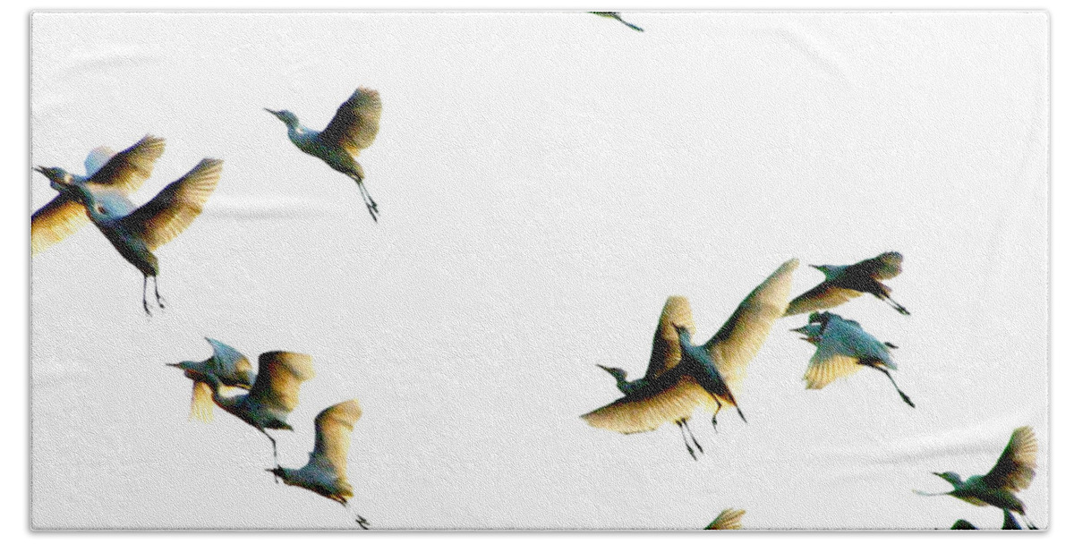  Beach Sheet featuring the photograph Birds in Flight by George Gadson