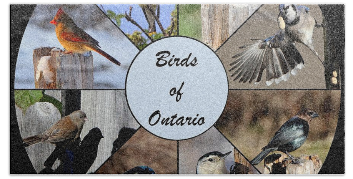 Birds Beach Sheet featuring the photograph Birds of Ontario by Davandra Cribbie