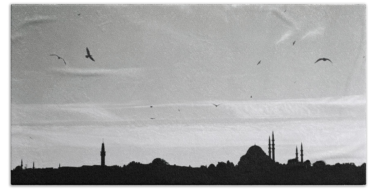 Sunset Beach Towel featuring the photograph Birds Over The Golden Horn by Shaun Higson