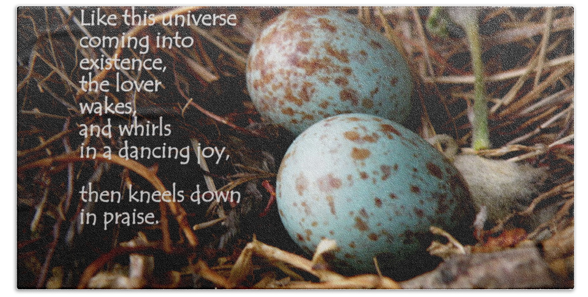 Eggs Beach Sheet featuring the photograph Birdsong From Inside The Egg by Lainie Wrightson