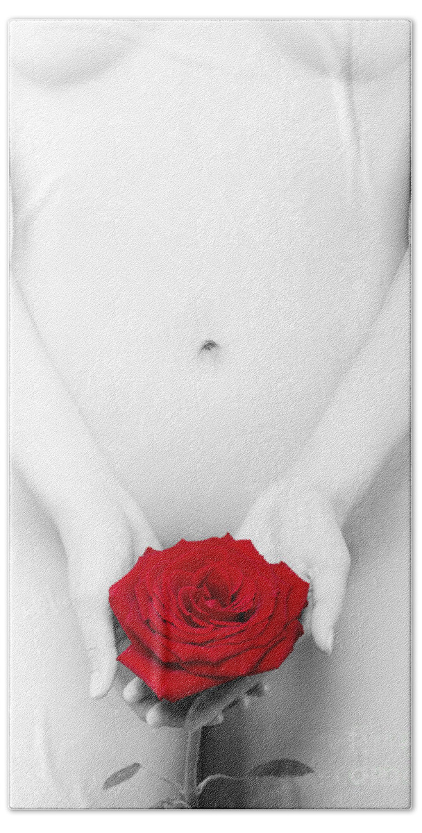 Nude Beach Towel featuring the photograph Black and white nude Woman with a Red Rose by Maxim Images Exquisite Prints