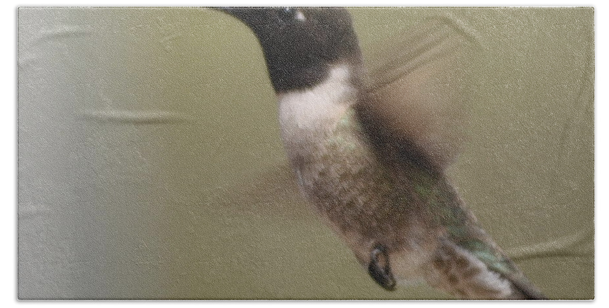 Black-chinned Beach Towel featuring the photograph Black-chinned Hummingbird by Frank Madia