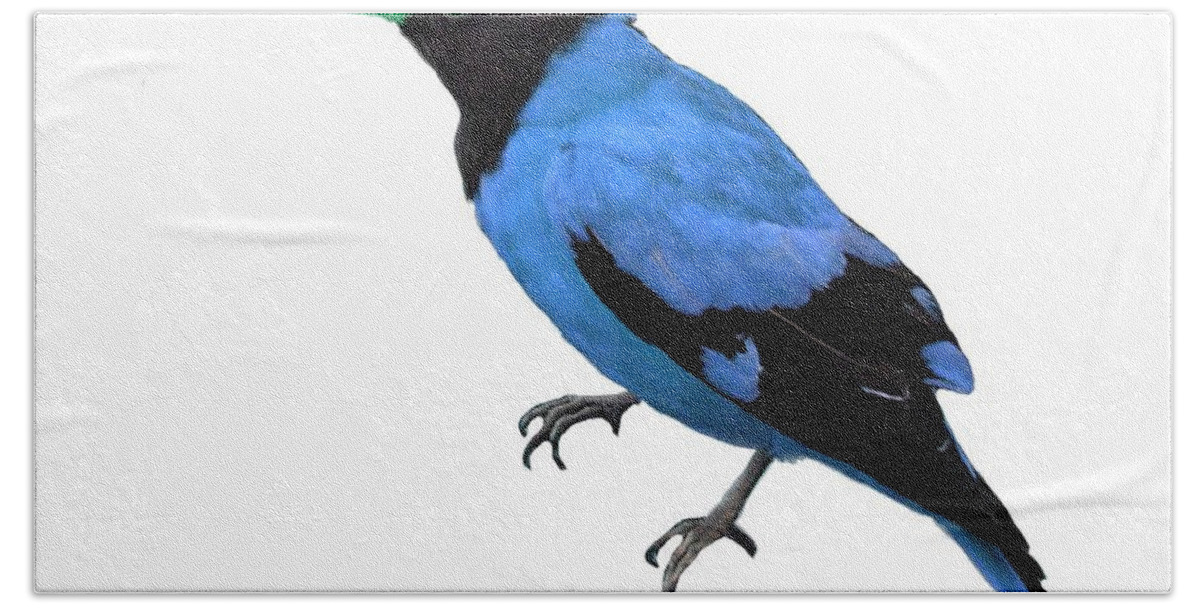 Blue Beach Towel featuring the painting Black Hooded Blue Oriole by Bruce Nutting